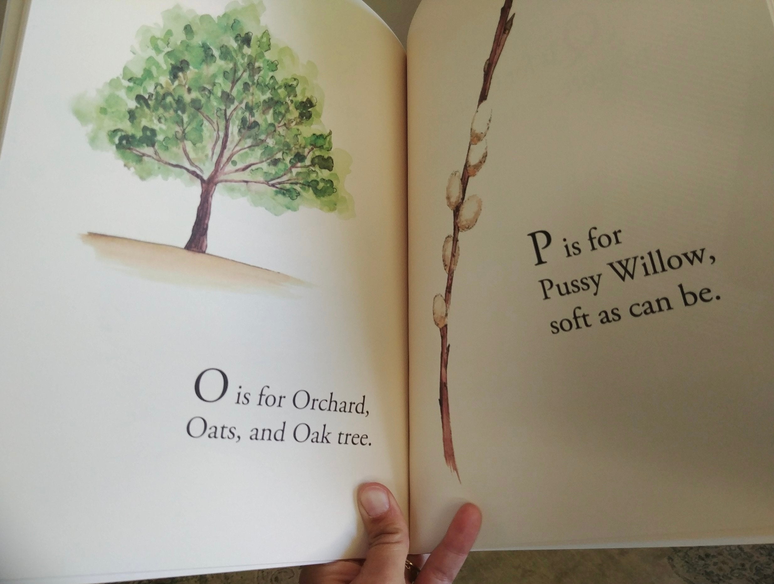 NR BOOKS | H IS FOR HOME BY AMBER ANTYMNIUK