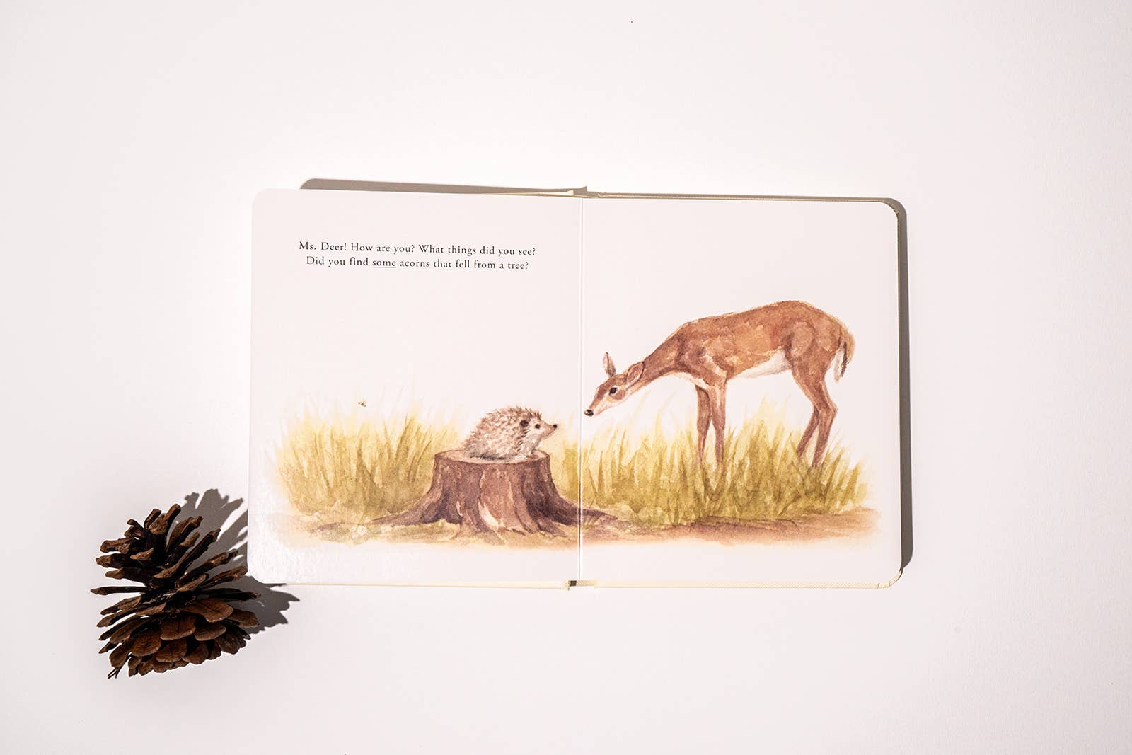 NR PAIGE TATE | OUR LITTLE ADVENTURES BOARD BOOK BOX SET