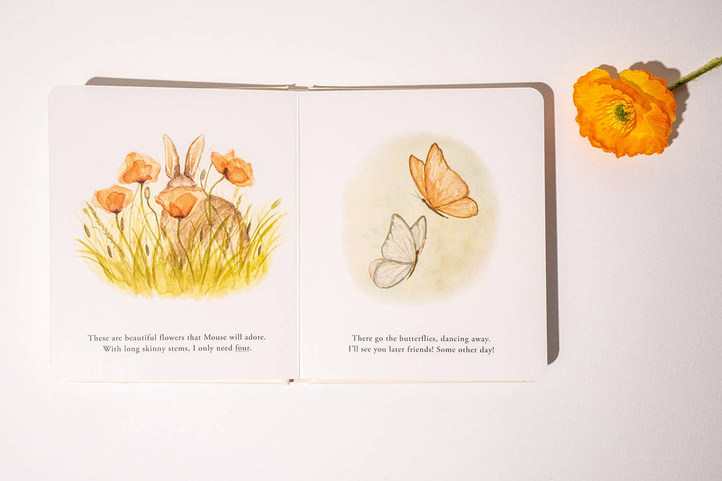 NR PAIGE TATE | OUR LITTLE ADVENTURES BOARD BOOK BOX SET