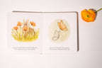 NR PAIGE TATE | OUR LITTLE ADVENTURES BOARD BOOK BOX SET