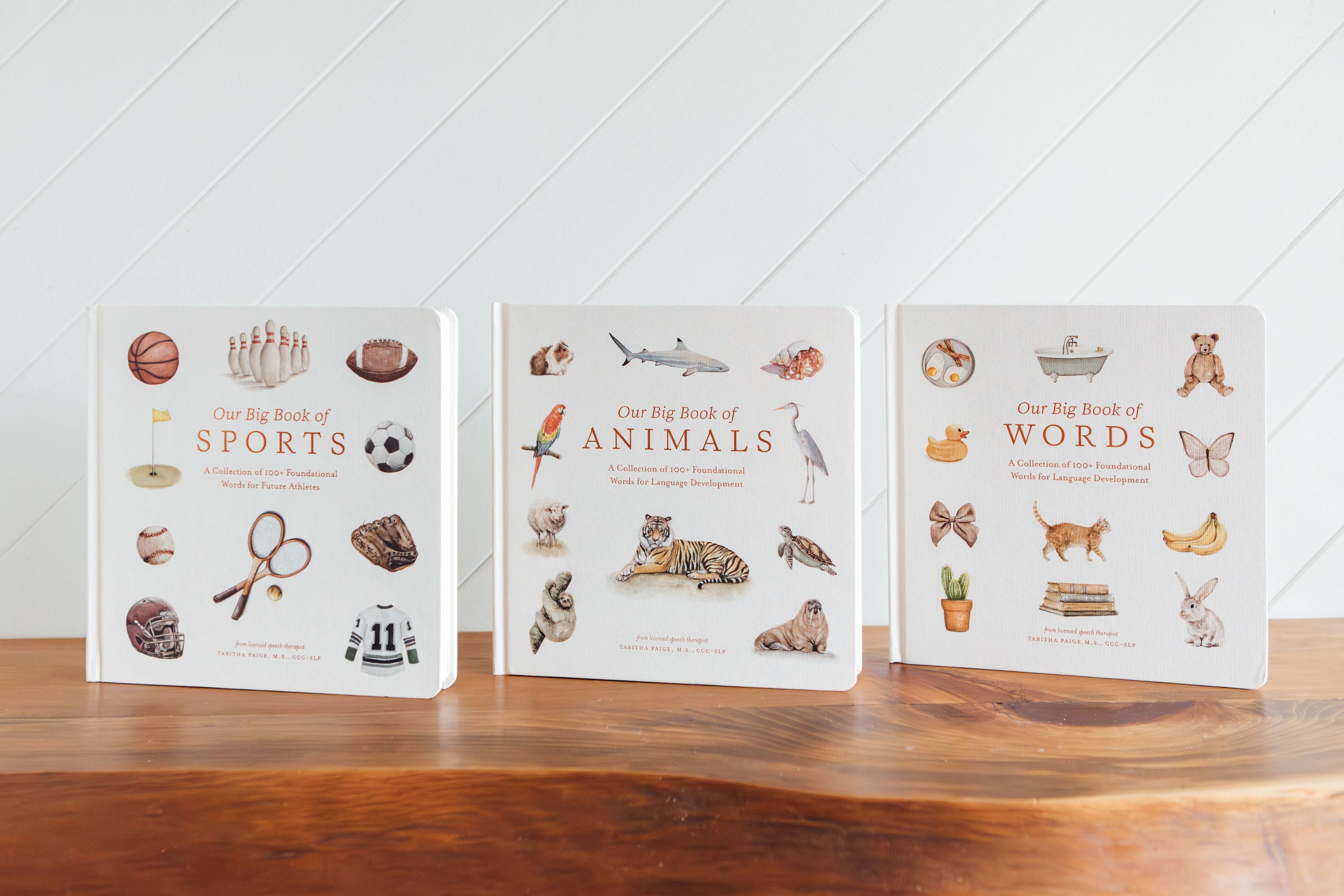 NR PAIGE TATE | OUR BIG BOOK OF ANIMALS BOARD BOOK Our Big Book of Animals (Board