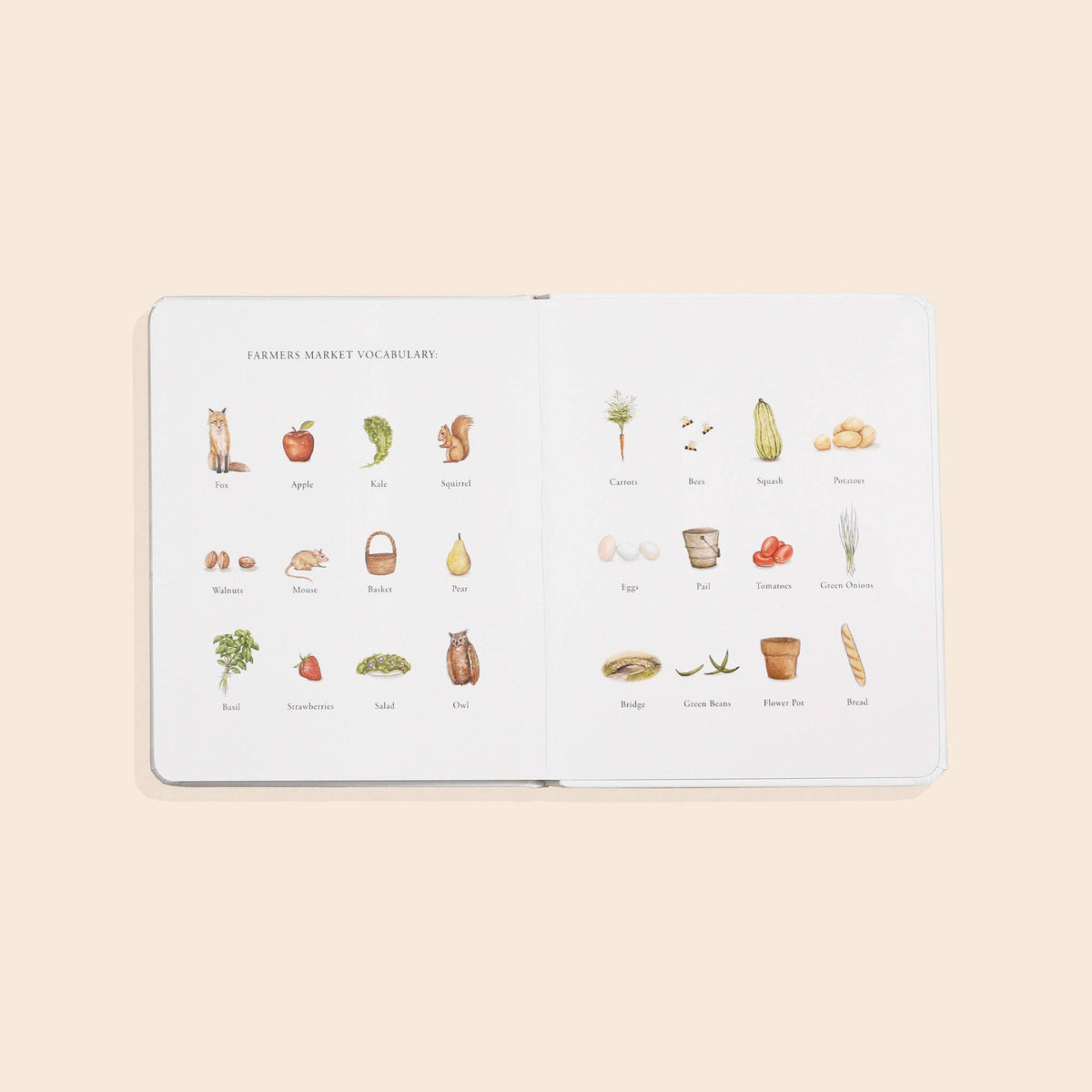 NR PAIGE TATE | OUR LITTLE ADVENTURE FARMERS MARKET