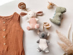 NR BITZY PAL NATURAL PACIFIER PLUSH | GOOSE