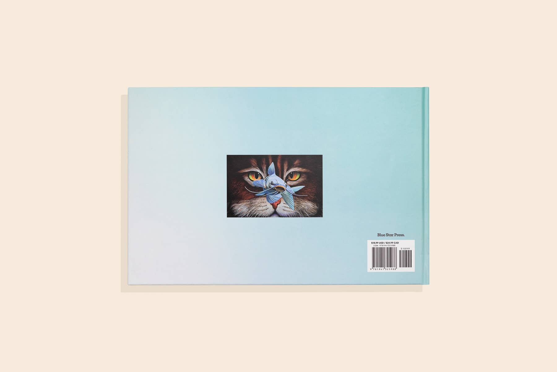 NR PAIGE TATE | YOU STOLE MY NAME | LARGE