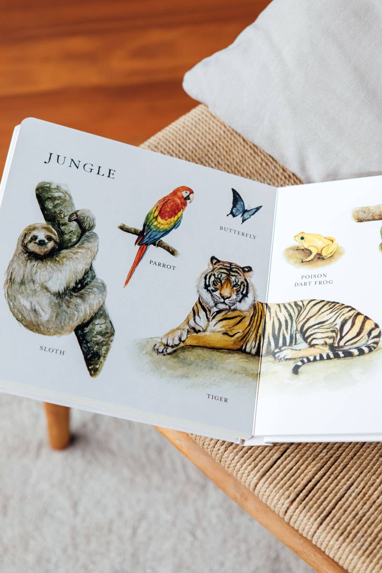 NR PAIGE TATE | OUR BIG BOOK OF ANIMALS BOARD BOOK Our Big Book of Animals (Board