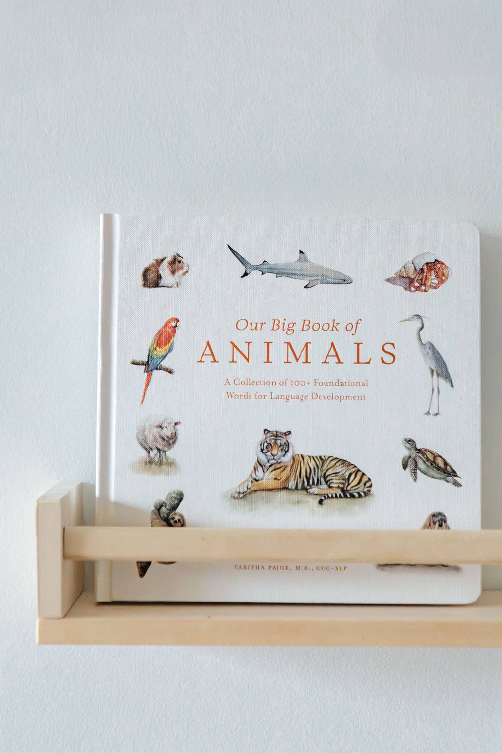 NR PAIGE TATE | OUR BIG BOOK OF ANIMALS BOARD BOOK Our Big Book of Animals (Board