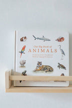 NR PAIGE TATE | OUR BIG BOOK OF ANIMALS BOARD BOOK Our Big Book of Animals (Board