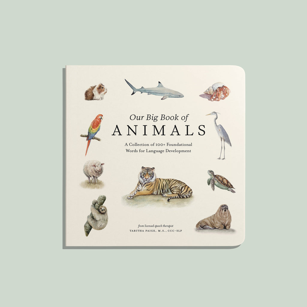 NR PAIGE TATE | OUR BIG BOOK OF ANIMALS BOARD BOOK Our Big Book of Animals (Board