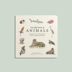 NR PAIGE TATE | OUR BIG BOOK OF ANIMALS BOARD BOOK Our Big Book of Animals (Board