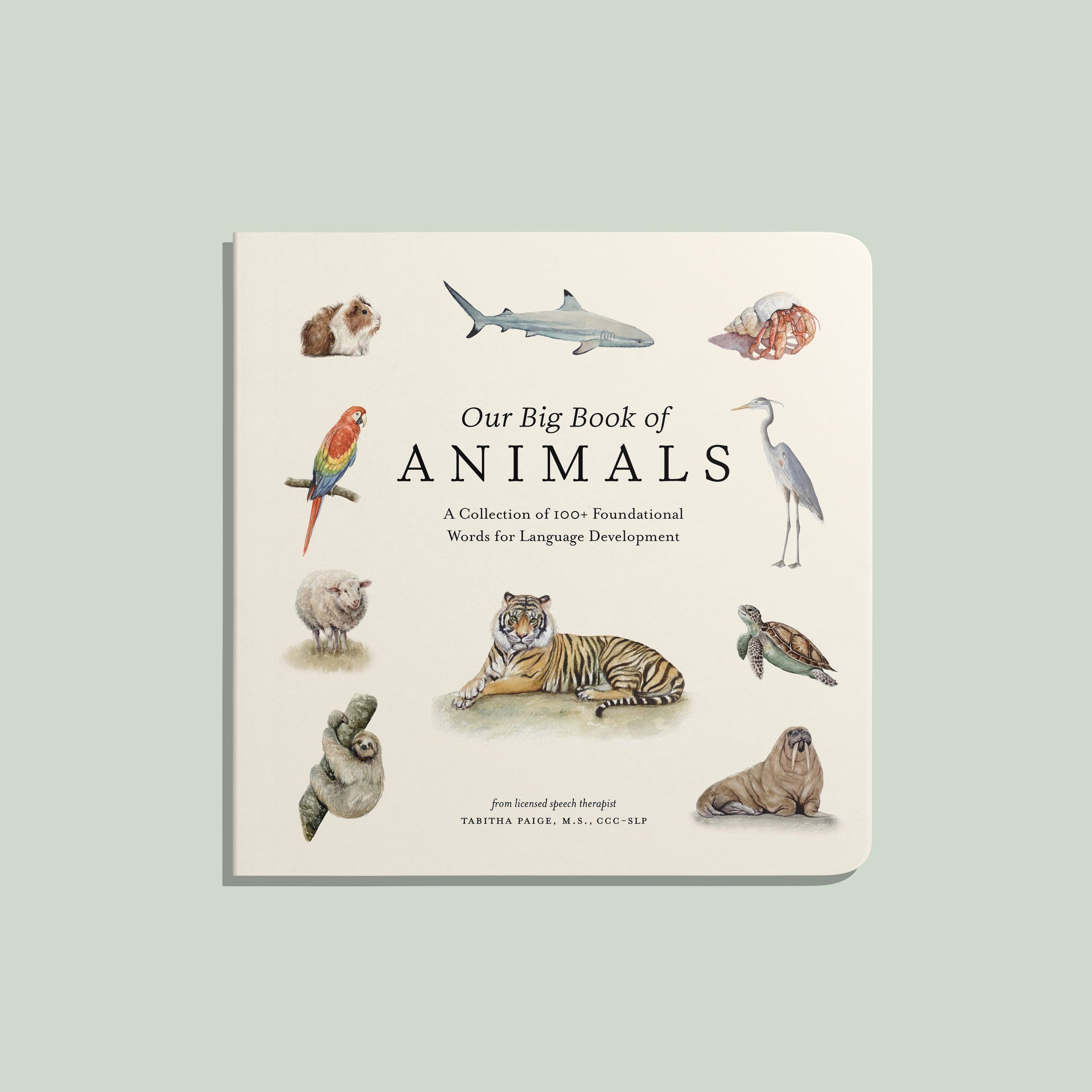 NR PAIGE TATE | OUR BIG BOOK OF ANIMALS BOARD BOOK Our Big Book of Animals (Board