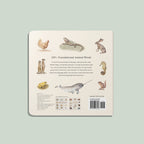 NR PAIGE TATE | OUR BIG BOOK OF ANIMALS BOARD BOOK Our Big Book of Animals (Board