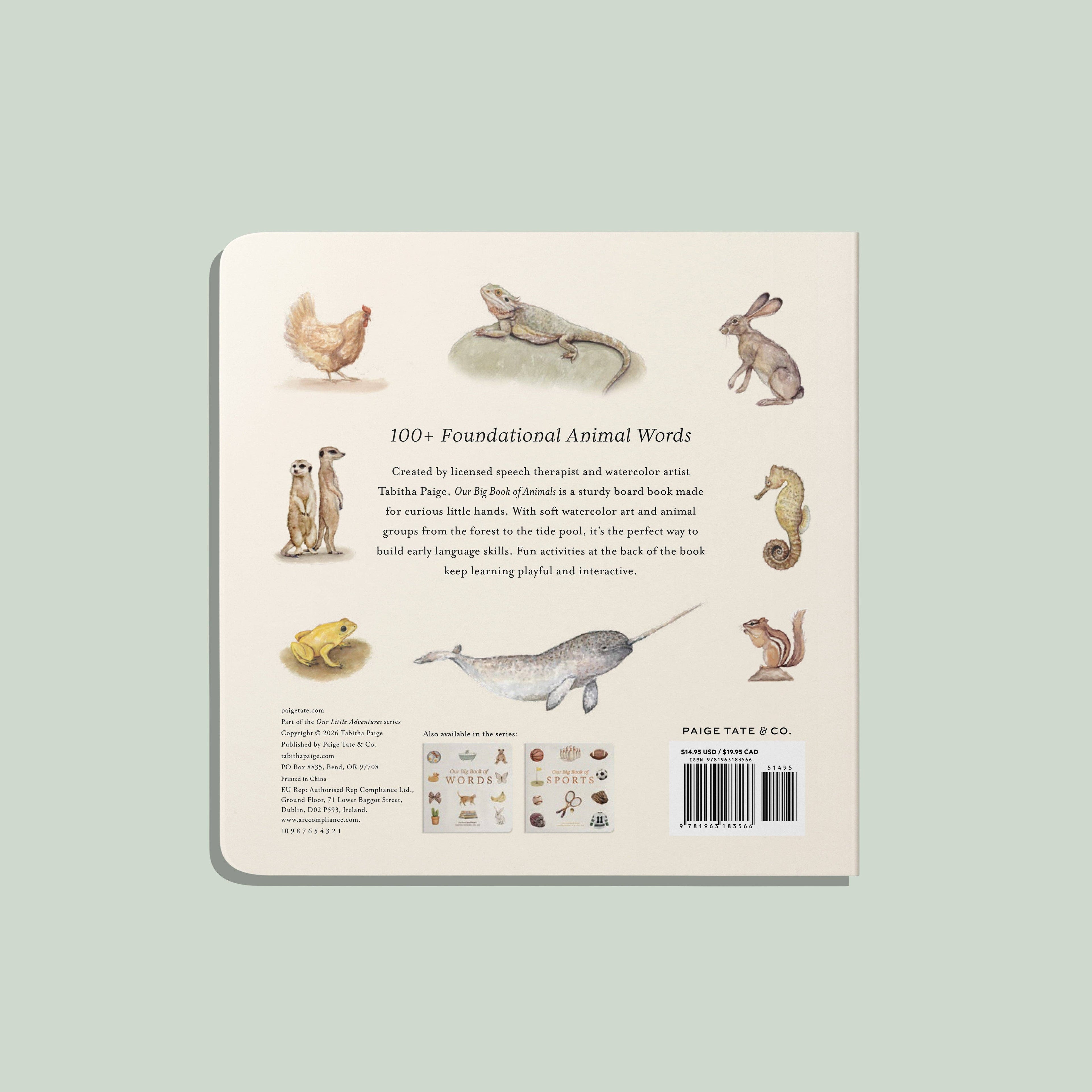 NR PAIGE TATE | OUR BIG BOOK OF ANIMALS BOARD BOOK Our Big Book of Animals (Board