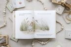 NR PAIGE TATE | IVE LOVED YOU FROM THE START