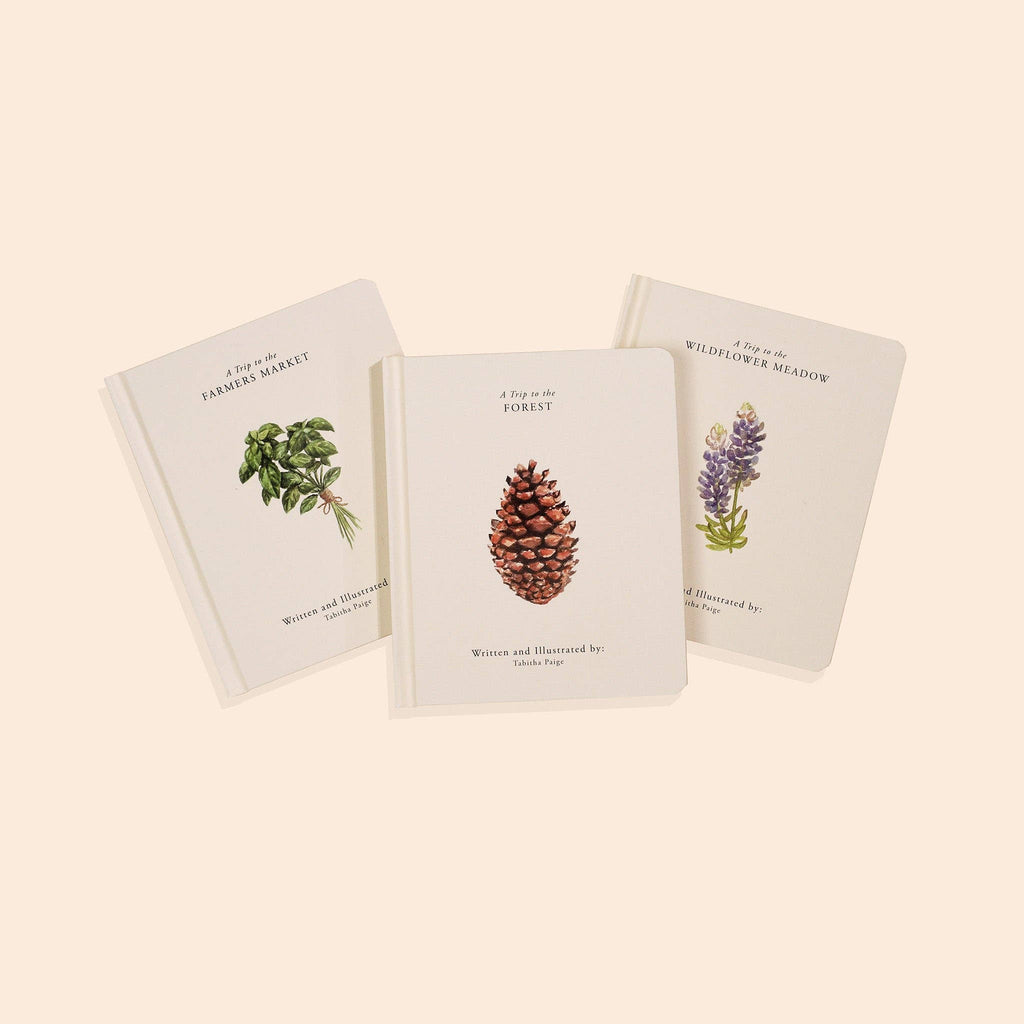 NR PAIGE TATE | OUR LITTLE ADVENTURES BOARD BOOK BOX SET