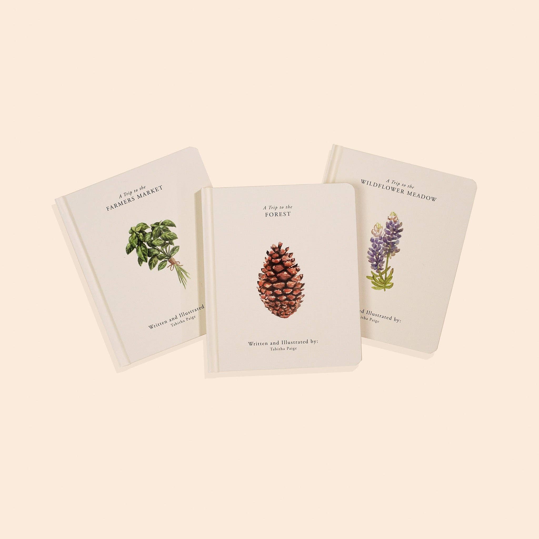 NR PAIGE TATE | OUR LITTLE ADVENTURES BOARD BOOK BOX SET