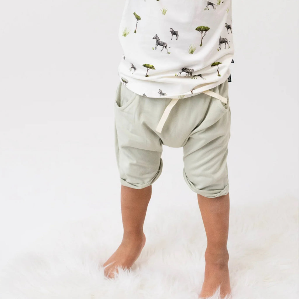 NR BELAN J HAREM SHORTS | SAGE