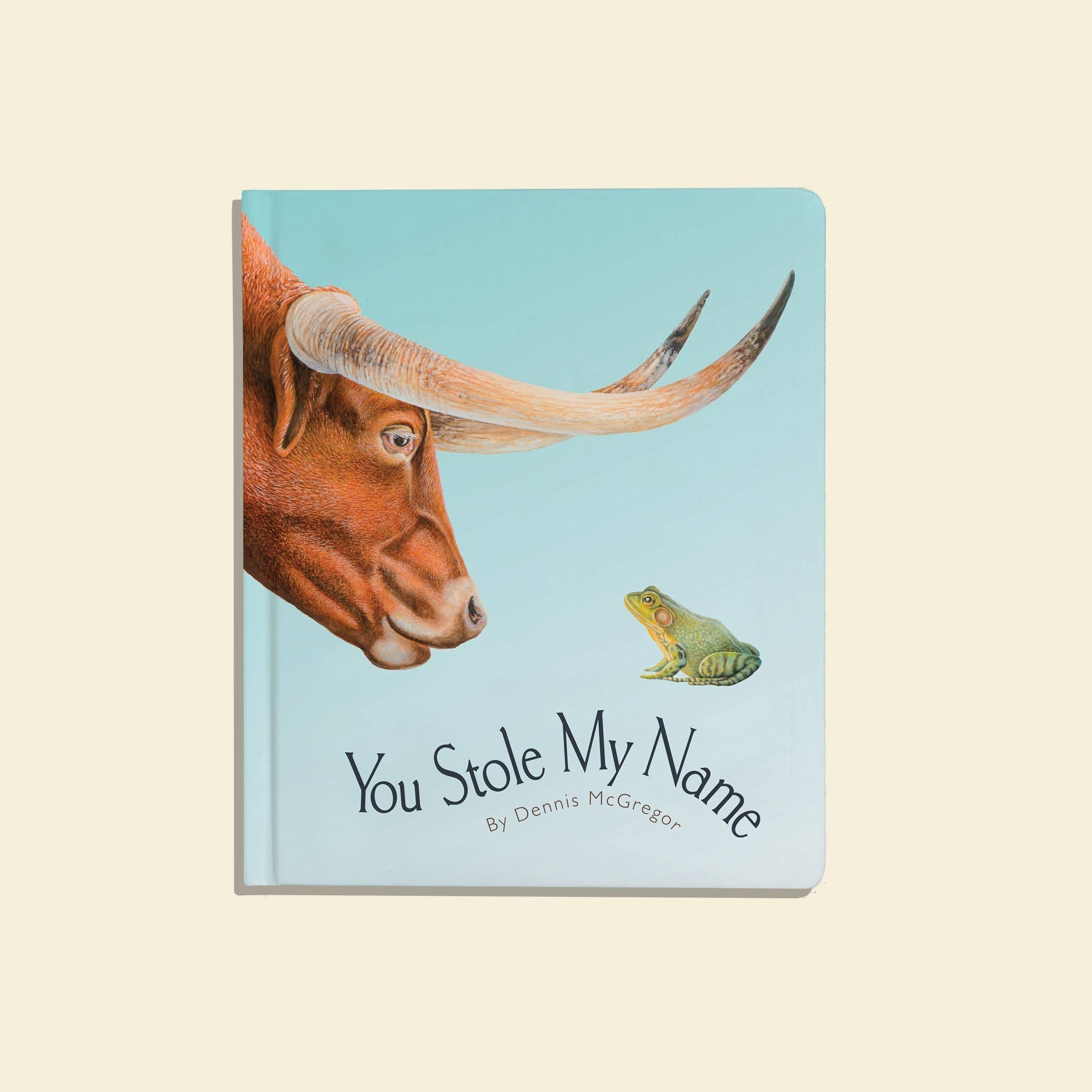 NR PAIGE TATE | YOU STOLE MY NAME BOARD BOOK | SMALL