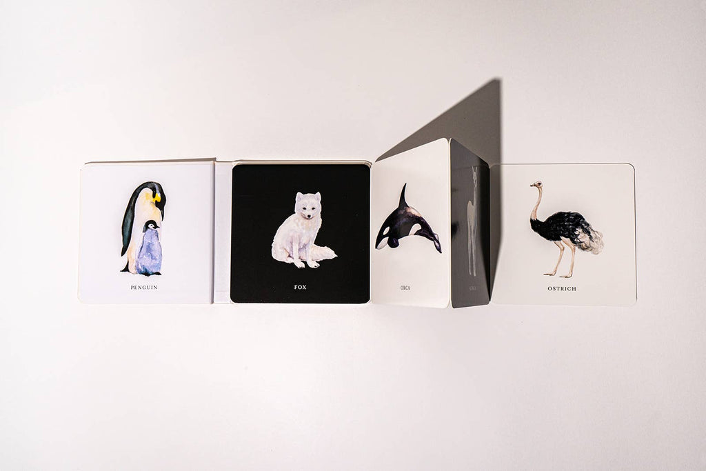 NR BLACK AND WHITE CONTRAST BOOK