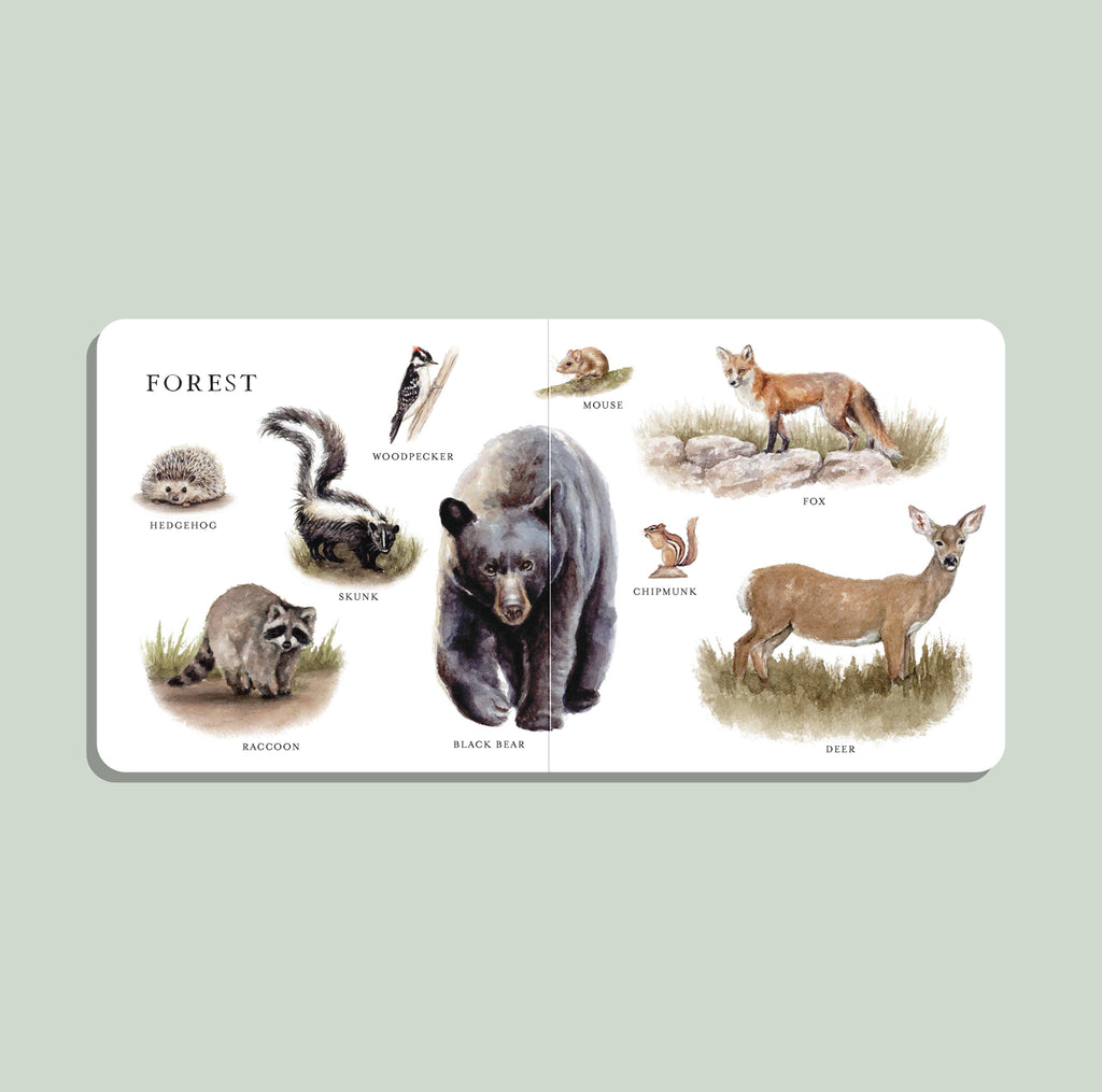 NR PAIGE TATE | OUR BIG BOOK OF ANIMALS BOARD BOOK Our Big Book of Animals (Board
