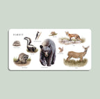 NR PAIGE TATE | OUR BIG BOOK OF ANIMALS BOARD BOOK Our Big Book of Animals (Board