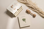 NR PAIGE TATE | OUR LITTLE ADVENTURES BOARD BOOK BOX SET