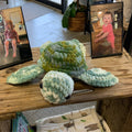 NR CROCHET TURTLE (5 variations)