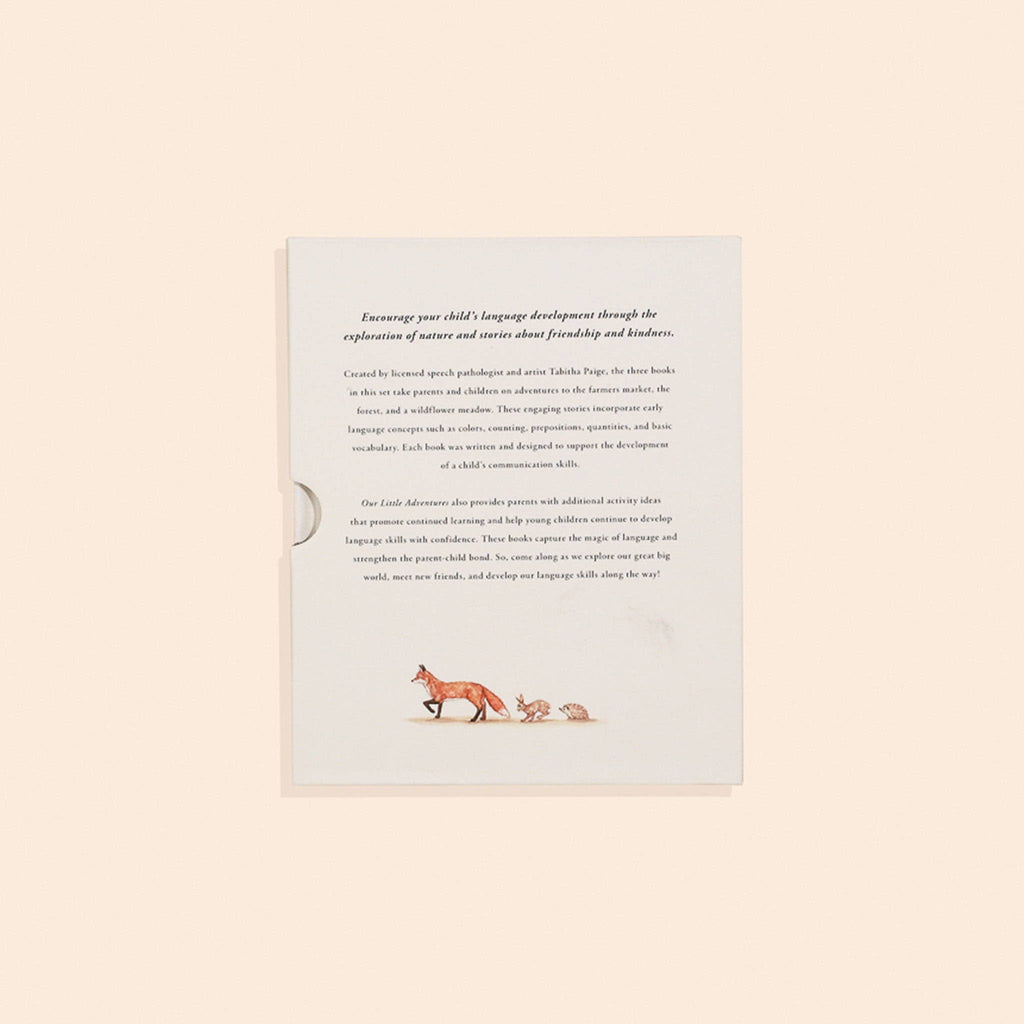 NR PAIGE TATE | OUR LITTLE ADVENTURES BOARD BOOK BOX SET