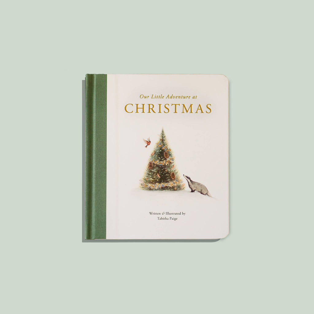NR PAIGE TATE | OUR LITTLE ADVENTURES CHRISTMAS ( BABYS FIRST CHRISTMAS )