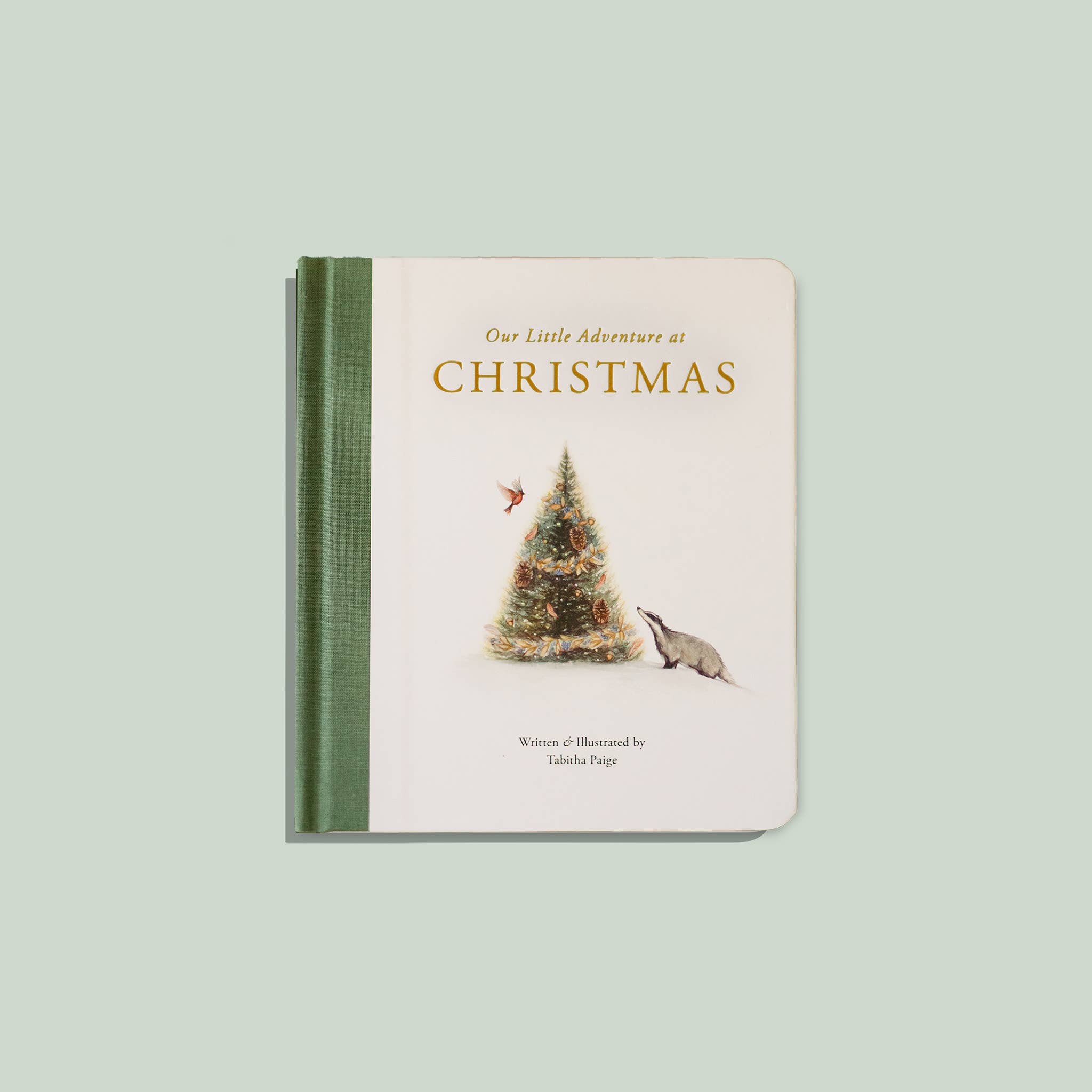 NR PAIGE TATE | OUR LITTLE ADVENTURES CHRISTMAS ( BABYS FIRST CHRISTMAS )