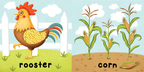 NR BOOKS | FARM TOUCH AND FEEL
