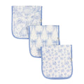 NR COPPER PEARL BURP CLOTH SET | VINTAGE CARNIVAL