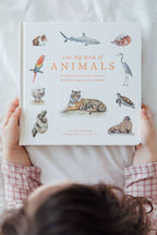 NR PAIGE TATE | OUR BIG BOOK OF ANIMALS BOARD BOOK Our Big Book of Animals (Board