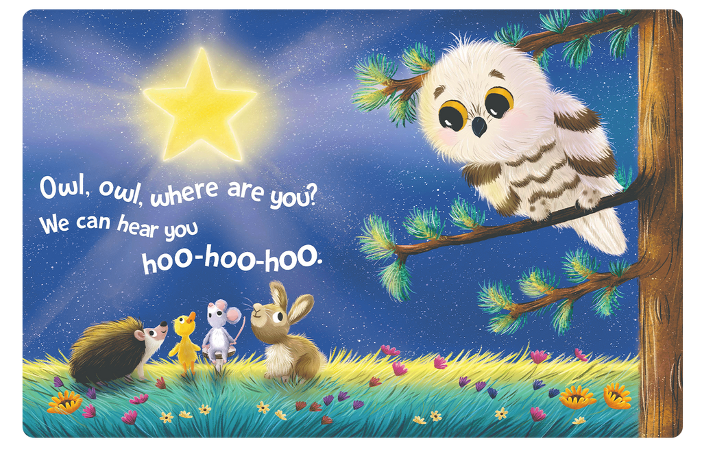 NR BOOKS | TWINKLE TWINKLE LITTLE STAR