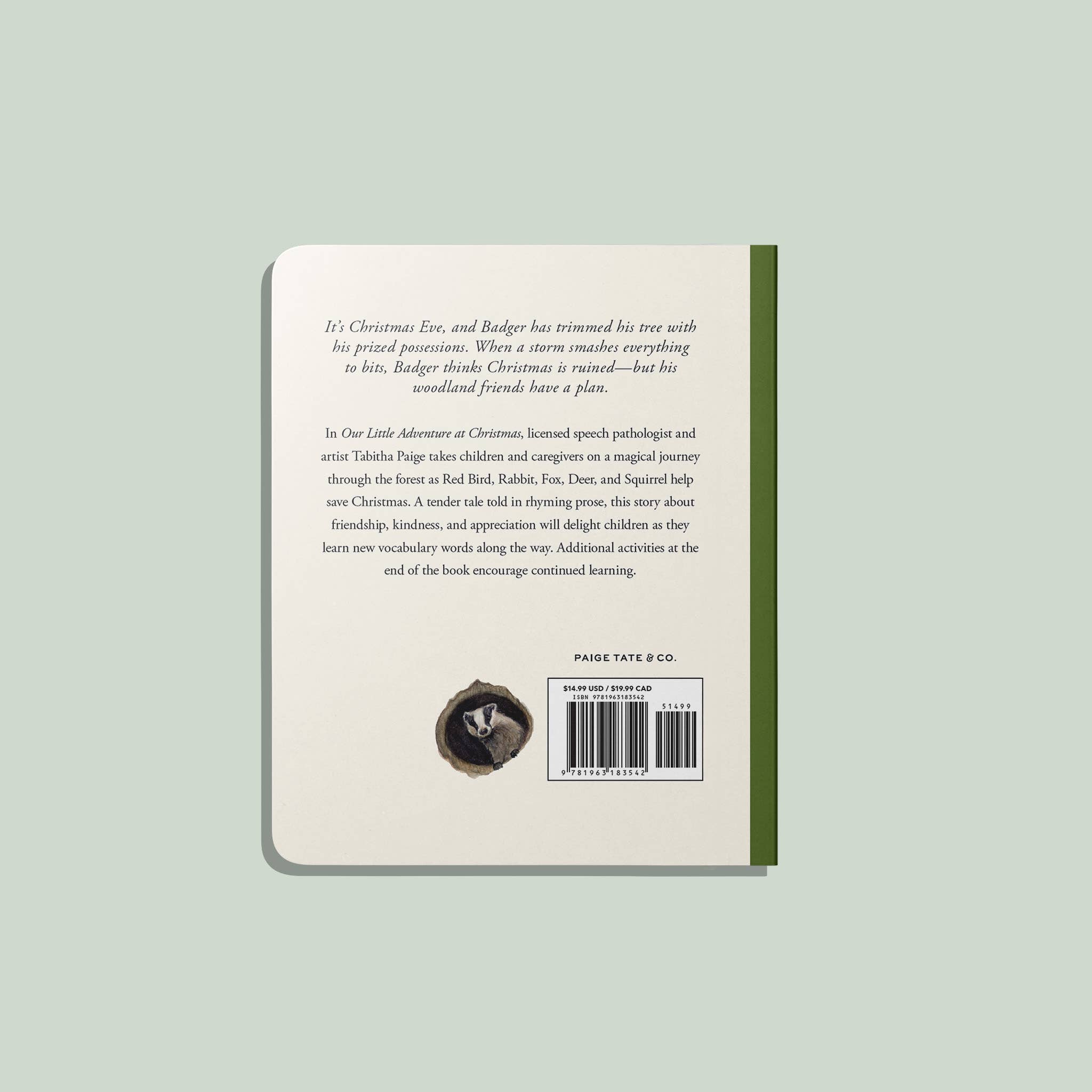 NR PAIGE TATE | OUR LITTLE ADVENTURES CHRISTMAS ( BABYS FIRST CHRISTMAS )
