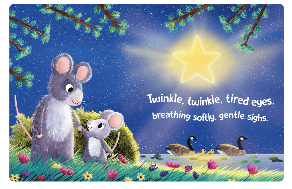 NR BOOKS | TWINKLE TWINKLE LITTLE STAR