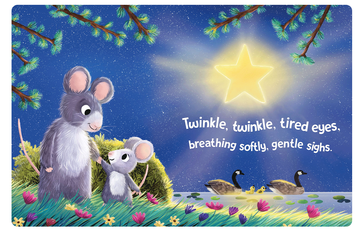 NR BOOKS | TWINKLE TWINKLE LITTLE STAR