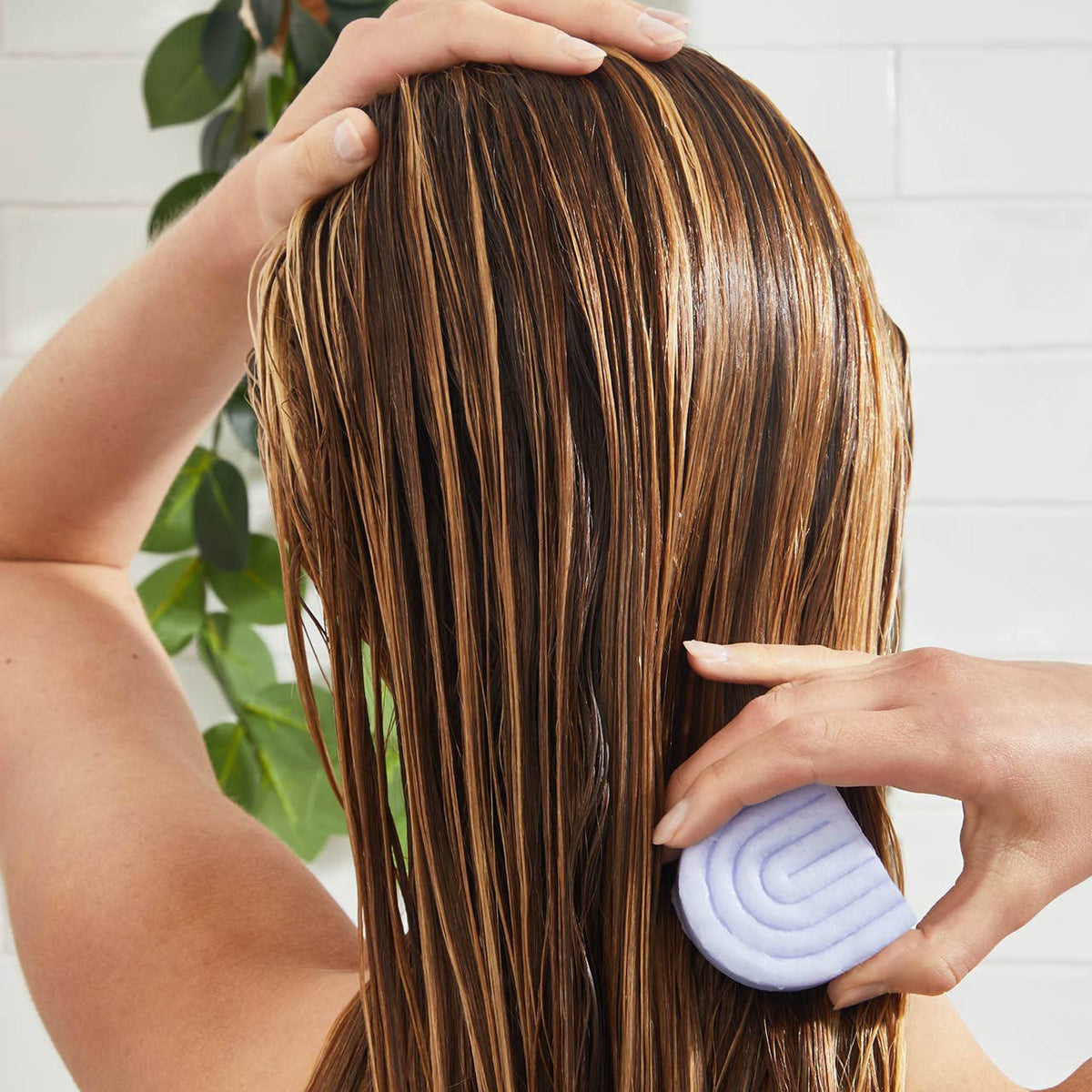 NR KITSCH SHAMPOO CONDITIONER BAR COMBO | PURPLE TONING