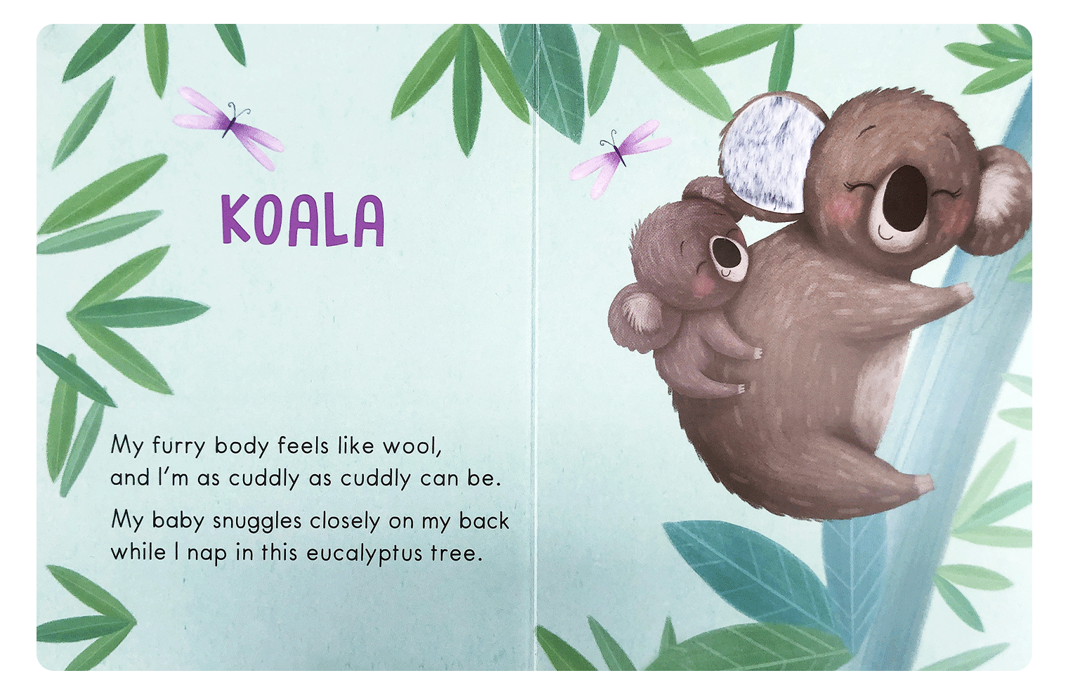 NR BOOKS | WILD ANIMALS TOUCH AND FEEL
