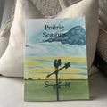 NR BOOKS | PRAIRIE SEASONS BY AMBER ANTYMNIUK