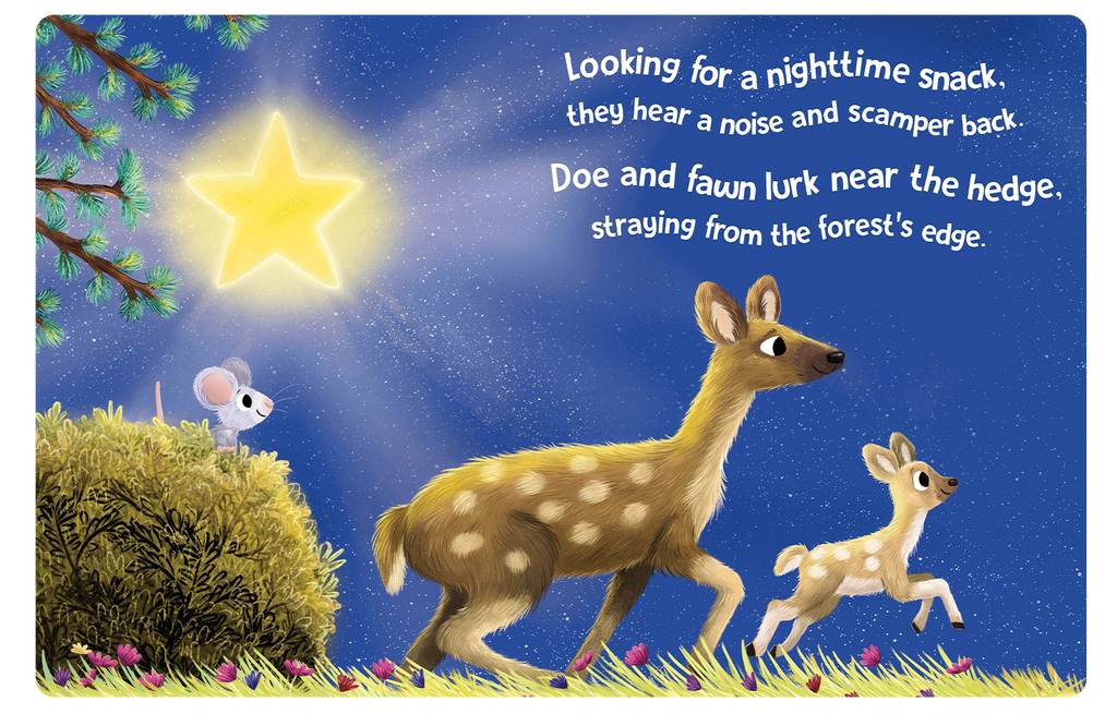 NR BOOKS | TWINKLE TWINKLE LITTLE STAR