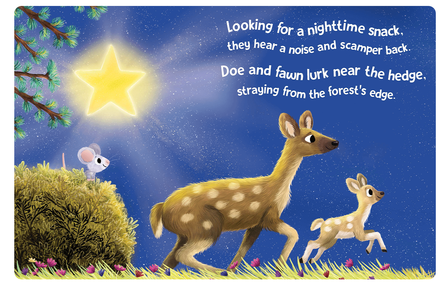 NR BOOKS | TWINKLE TWINKLE LITTLE STAR