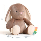 NR ITZY RITZY SWEETIE SNUGGLES | BEAR
