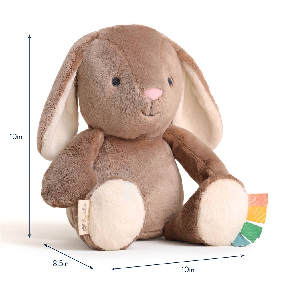 NR ITZY RITZY SWEETIE SNUGGLES | BEAR