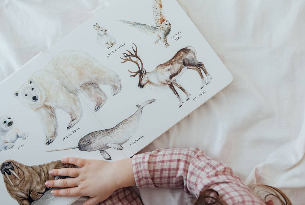 NR PAIGE TATE | OUR BIG BOOK OF ANIMALS BOARD BOOK Our Big Book of Animals (Board