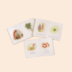 NR PAIGE TATE | OUR LITTLE ADVENTURES BOARD BOOK BOX SET