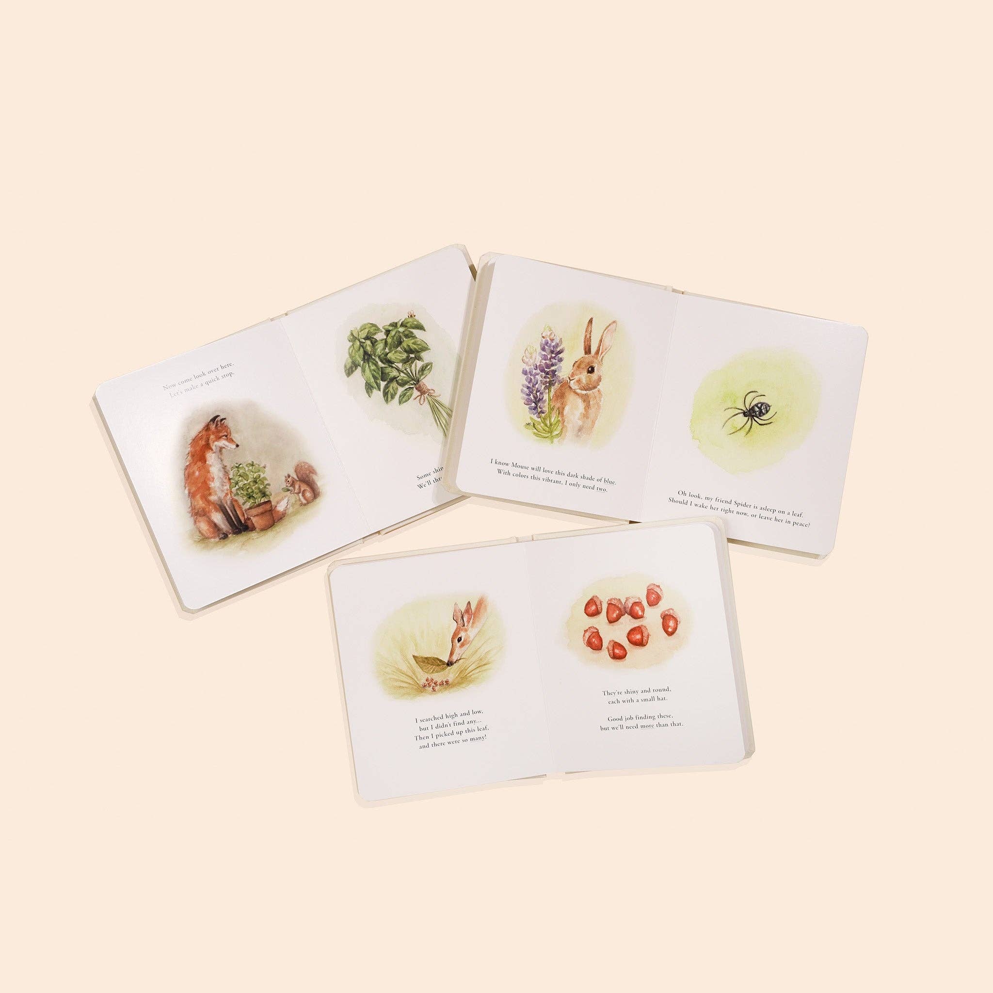 NR PAIGE TATE | OUR LITTLE ADVENTURES BOARD BOOK BOX SET
