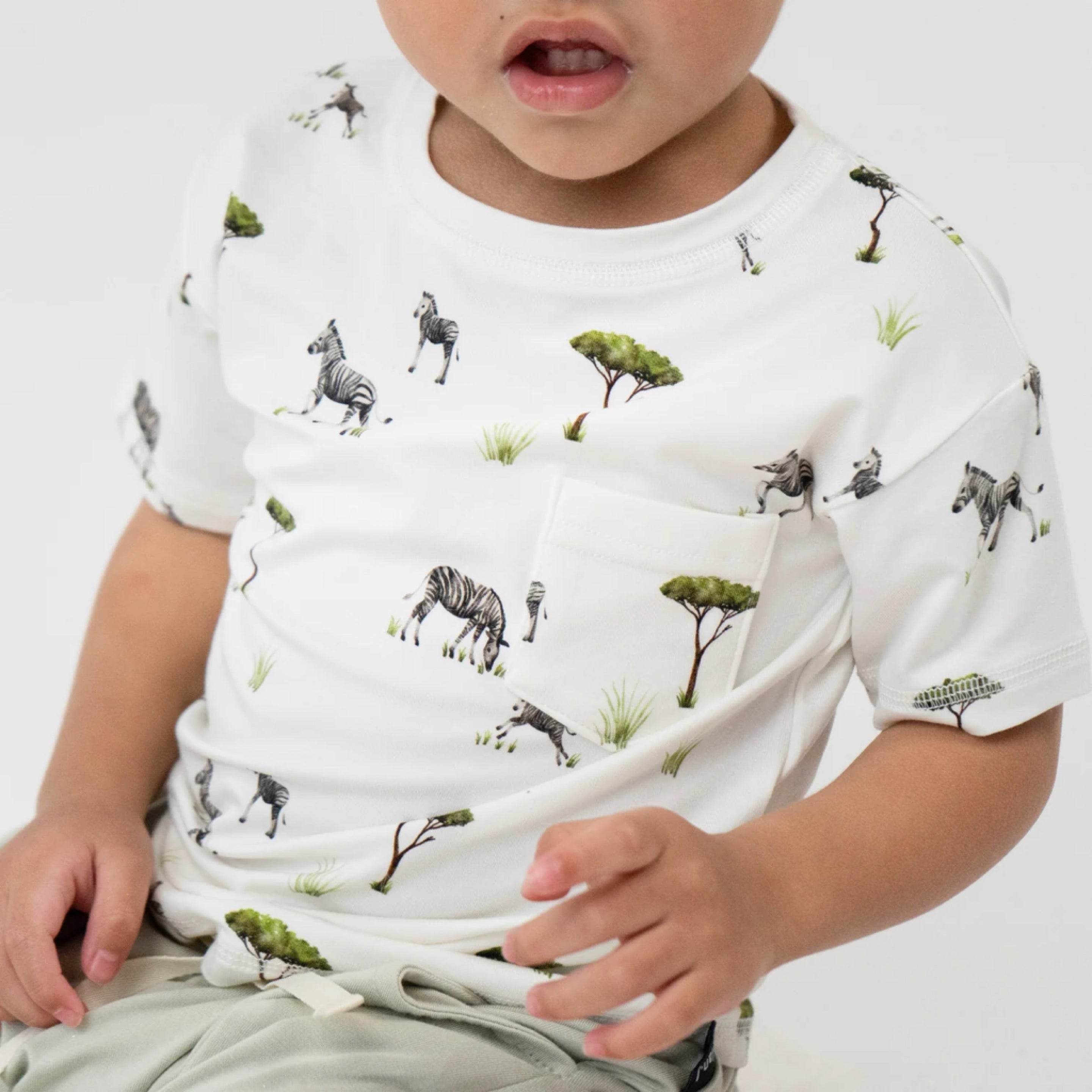 NR BELAN J S/S POCKET TEE | ZEBRA