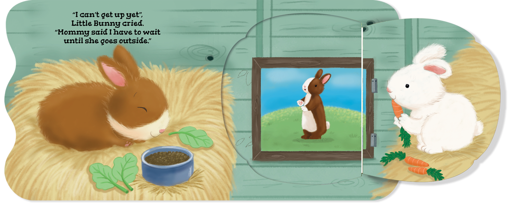 NR BOOKS | MORNINGS ON THE FARM