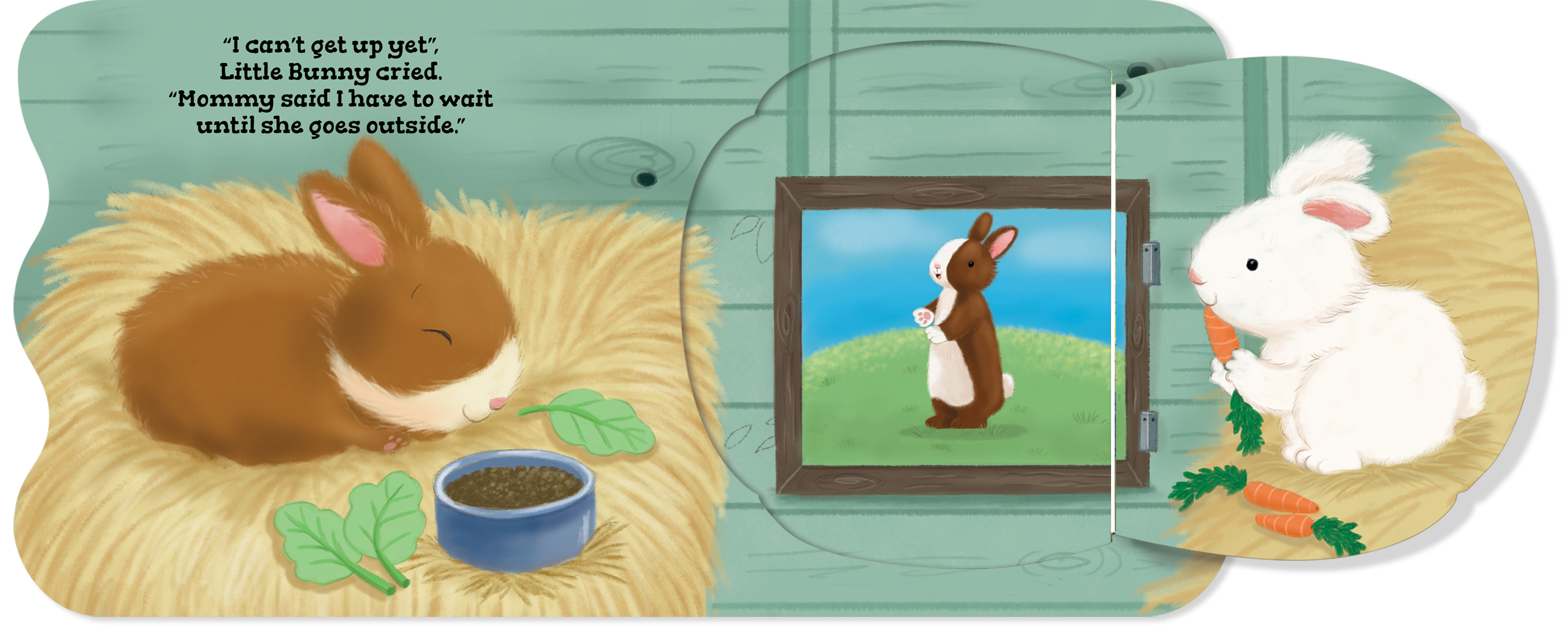NR BOOKS | MORNINGS ON THE FARM