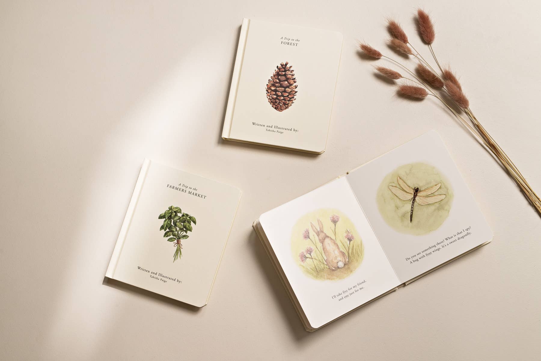NR PAIGE TATE | OUR LITTLE ADVENTURES BOARD BOOK BOX SET
